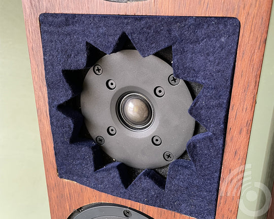 Duntech Opal 2-Way tower speakers - modified