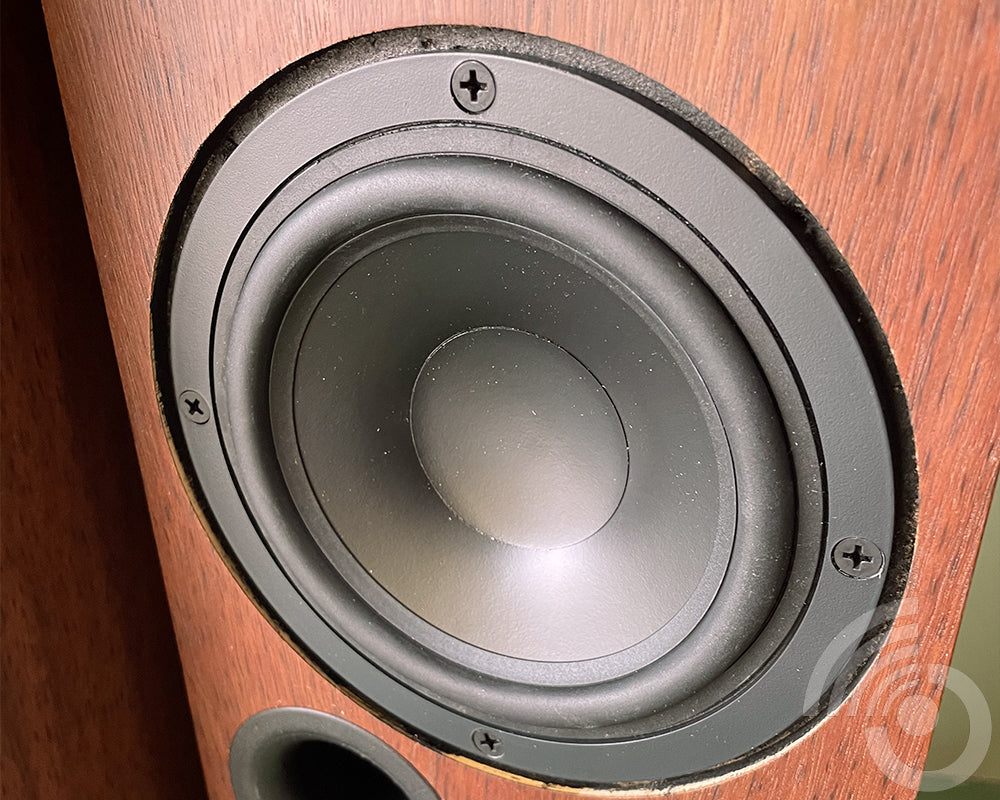 Duntech Opal 2 Way tower speakers - modified