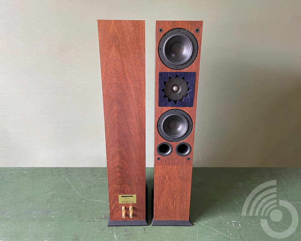 Duntech Opal 2 Way tower speakers - modified