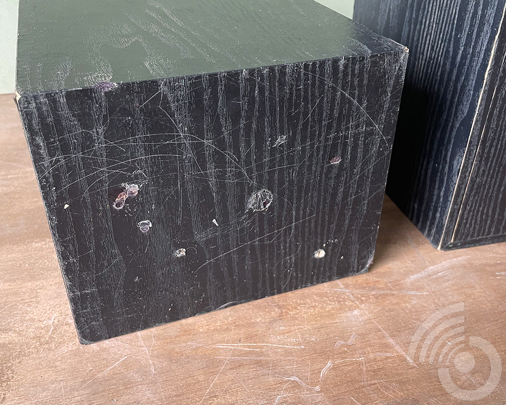 Interdyn PeeWee Black Bookshelf Speakers - Modified