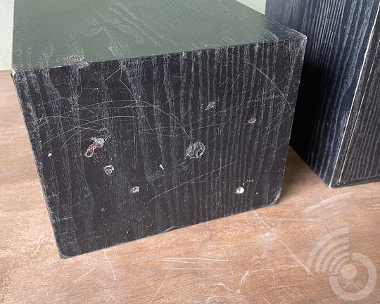 Interdyn PeeWee Black Bookshelf Speakers - Modified