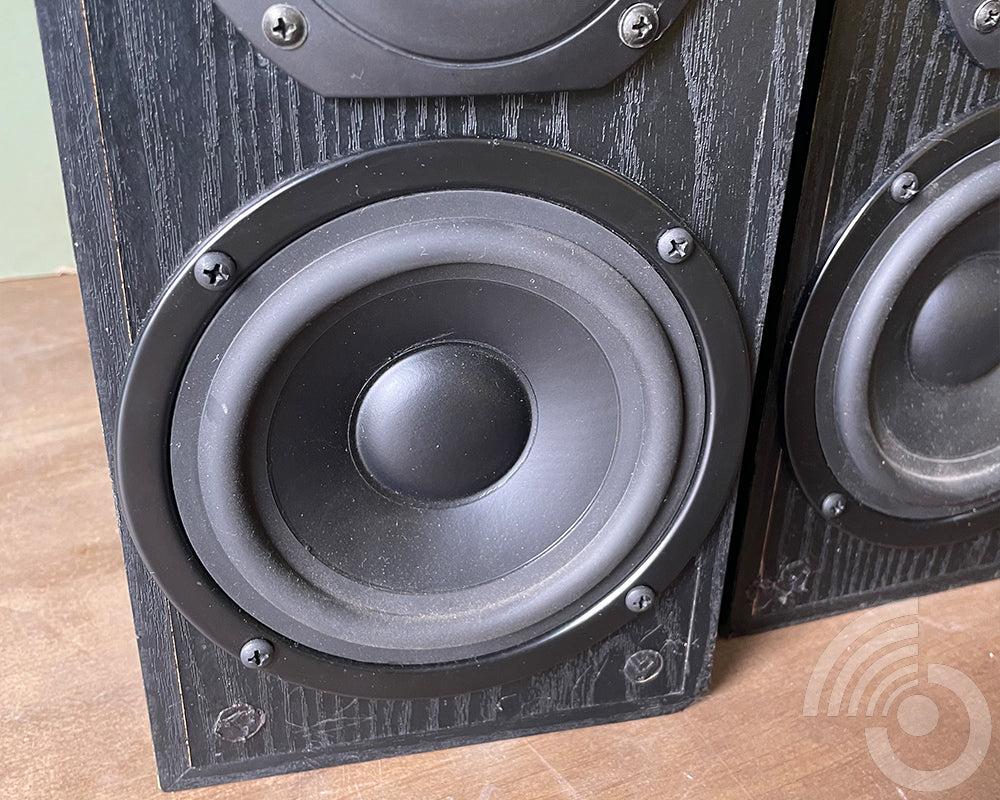 Interdyn PeeWee Black Bookshelf Speakers - Modified