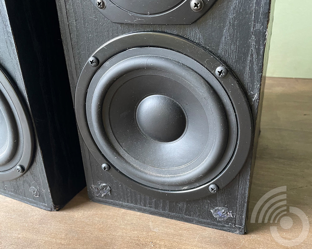 Interdyn PeeWee Black Bookshelf Speakers - Modified